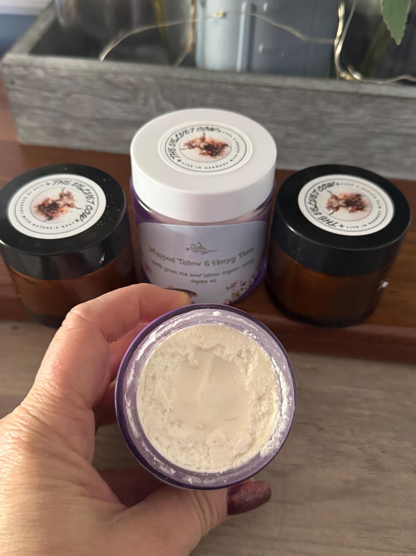Whipped Tallow Cream Trial Size – Natural Moisturizer for All Skin Types